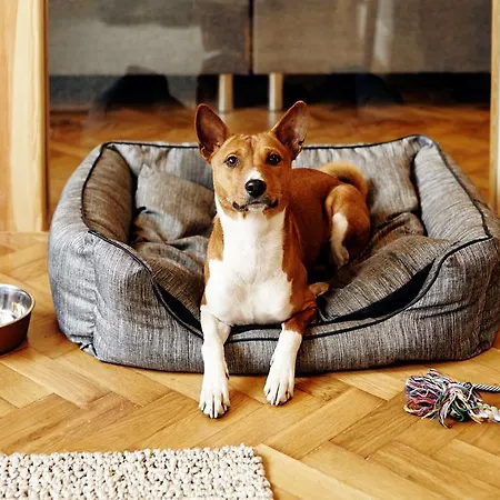 Sleepwell Ordynacka Lejlighedshotel