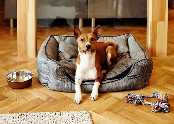 Sleepwell Ordynacka Ξενοδοχείο με διαμερίσματα